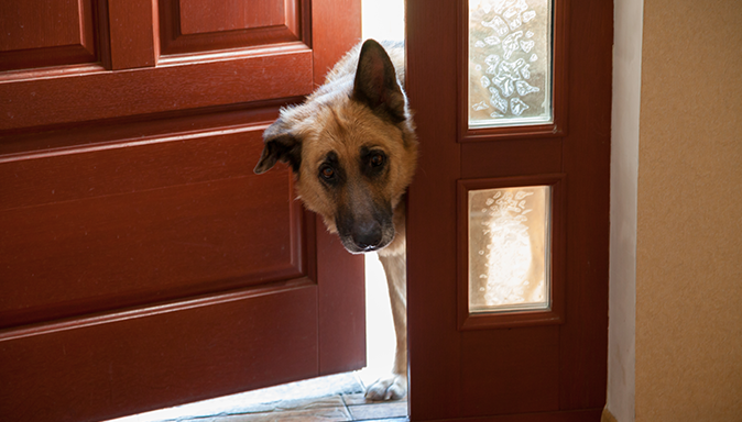 $10-and-Under Energy Fixes That You’ll Love Tip Image