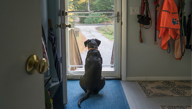 Weatherstripping